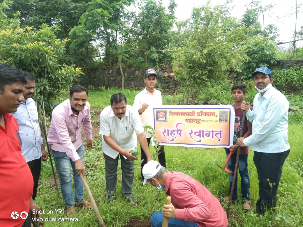Tree Plantation 1