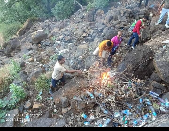 Tree Plantation 2